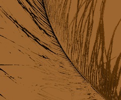 Feathered Impression II