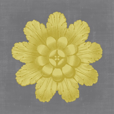 Gilded Rosette III