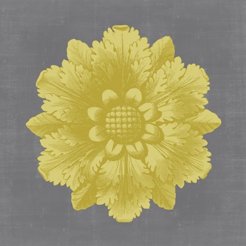 Gilded Rosette IV