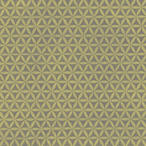 Graphic Pattern I