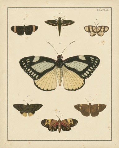 Heirloom Butterflies II