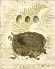 Melodic Nest and Eggs I