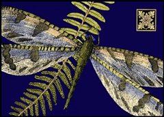 Mini Shimmering Dragonfly I