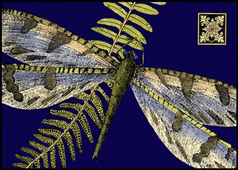 Mini Shimmering Dragonfly I