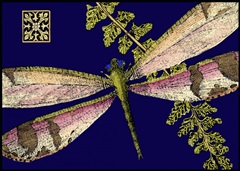 Mini Shimmering Dragonfly II