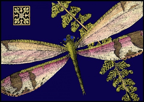 Mini Shimmering Dragonfly II