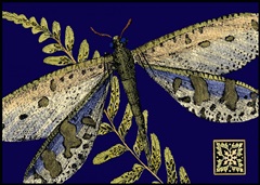 Mini Shimmering Dragonfly III