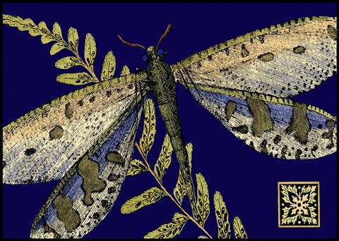 Mini Shimmering Dragonfly III