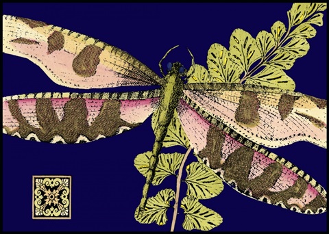 Mini Shimmering Dragonfly IV