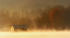 Morning on Spring Creek