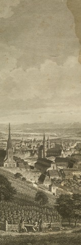 Pastoral Panorama II