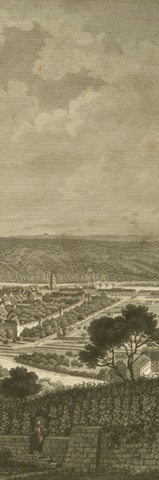 Pastoral Panorama IV