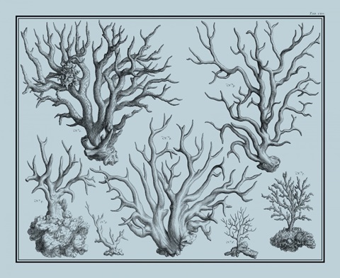 Aegean Coral on Blue I