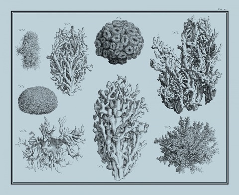 Aegean Coral on Blue II