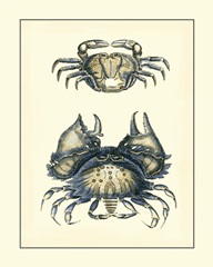 Antique Blue Crabs I