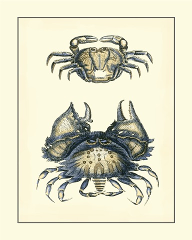 Antique Blue Crabs I
