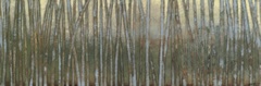 Blue Birch Forest I