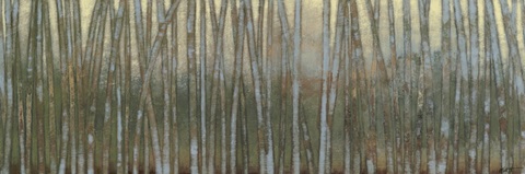 Blue Birch Forest I