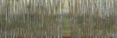 Blue Birch Forest II