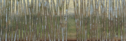 Blue Birch Forest II