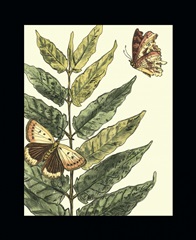 Butterflies and Leaves I