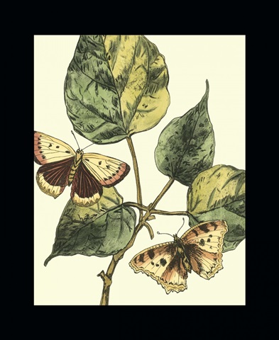 Butterflies and Leaves II