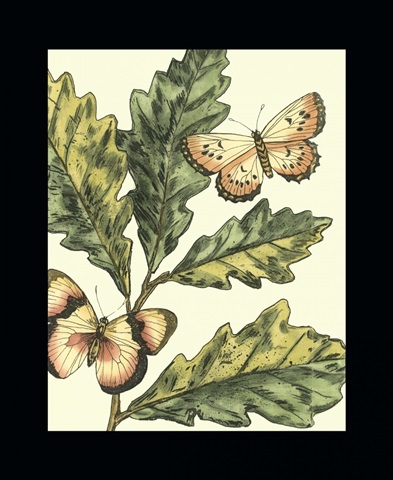 Butterflies and Leaves III