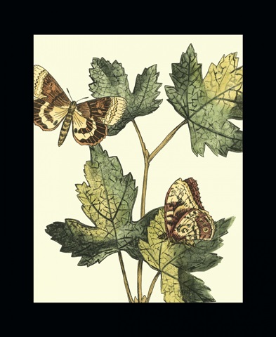 Butterflies and Leaves IV