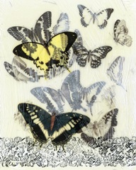 Butterfly Habitat I