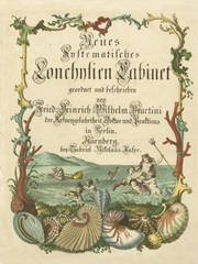 Cabinet of Conchology