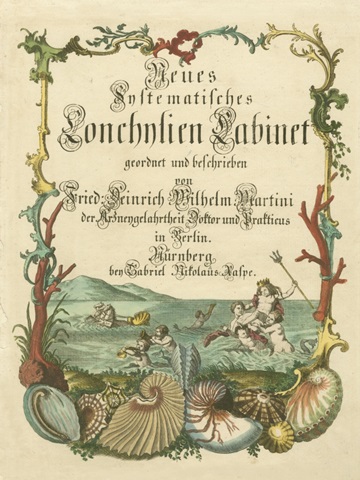 Cabinet of Conchology