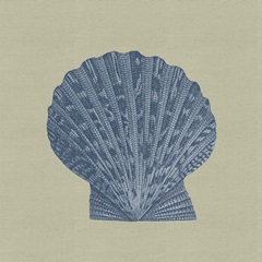 Chambray Shells IV