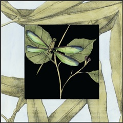 Dragonfly Inset I