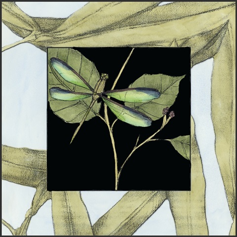 Dragonfly Inset I