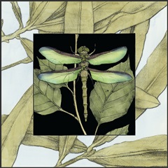 Dragonfly Inset II