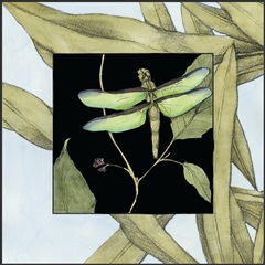 Dragonfly Inset III