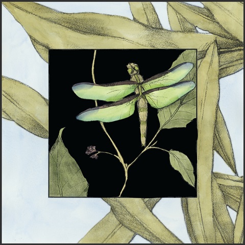 Dragonfly Inset III