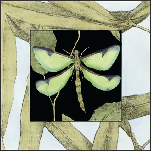 Dragonfly Inset IV