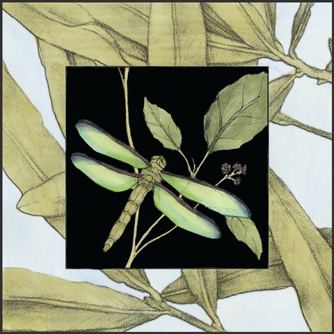 Dragonfly Inset V