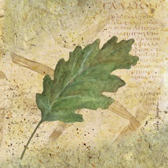 Antiqued Leaves II