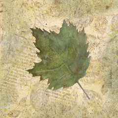 Antiqued Leaves III