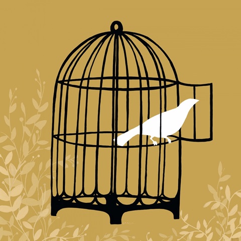 Birdcage Silhouette II