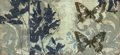 Butterfly Reverie II