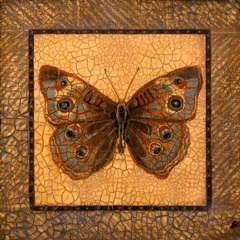Crackled Butterfly - Buckeye