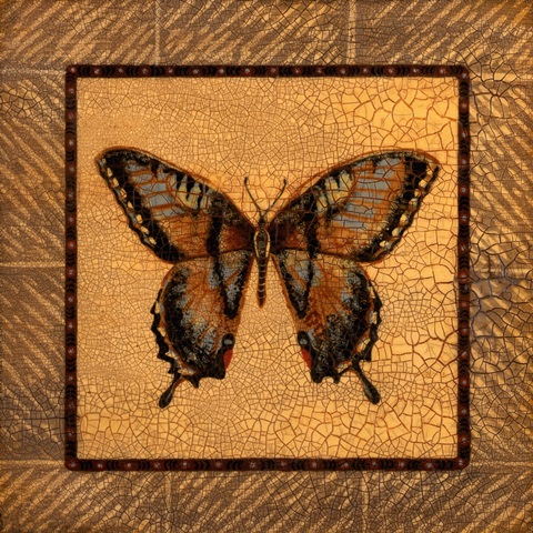 Crackled Butterfly - Swallowtail