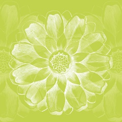 Chromatic Rosette II