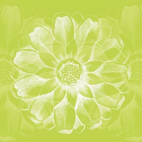 Chromatic Rosette II