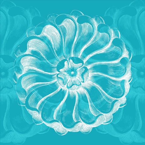 Chromatic Rosette III