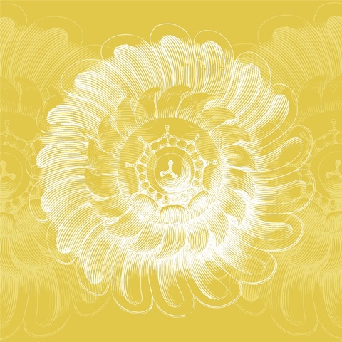 Chromatic Rosette IV