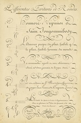 Alphabet Sampler III